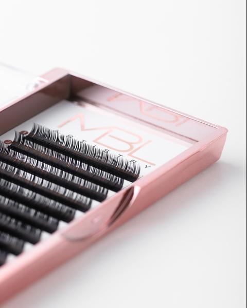 Professional Eyelash Tray D-Curl Lashes